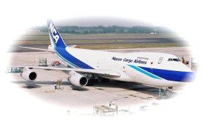 B742F-JA8182